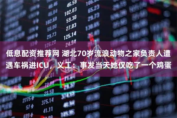 低息配资推荐网 湖北70岁流浪动物之家负责人遭遇车祸进ICU，义工：事发当天她仅吃了一个鸡蛋