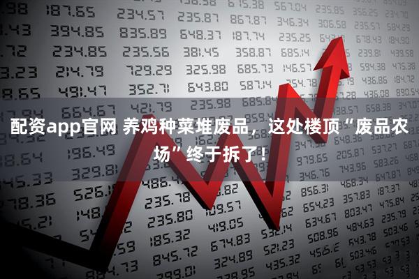 配资app官网 养鸡种菜堆废品，这处楼顶“废品农场”终于拆了！